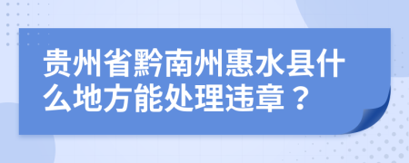 贵州省黔南州惠水县什么地方能处理违章？