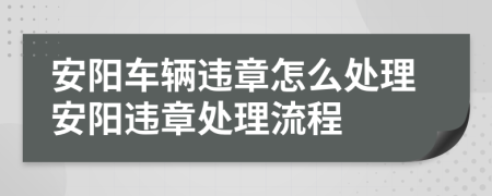 安阳车辆违章怎么处理安阳违章处理流程