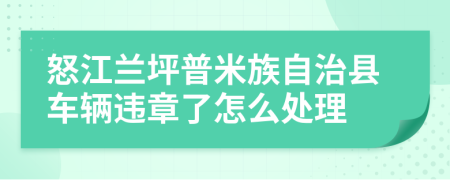 怒江兰坪普米族自治县车辆违章了怎么处理