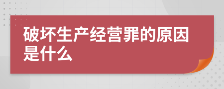 破坏生产经营罪的原因是什么