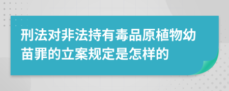 刑法对非法持有毒品原植物幼苗罪的立案规定是怎样的