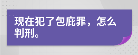 现在犯了包庇罪，怎么判刑。