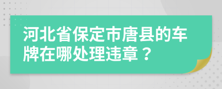 河北省保定市唐县的车牌在哪处理违章？