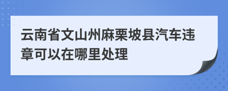 云南省文山州麻栗坡县汽车违章可以在哪里处理