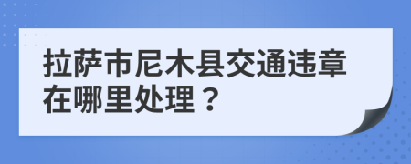 拉萨市尼木县交通违章在哪里处理？