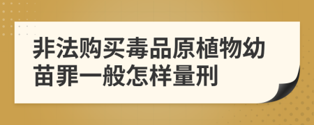 非法购买毒品原植物幼苗罪一般怎样量刑