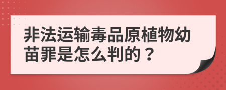 非法运输毒品原植物幼苗罪是怎么判的？