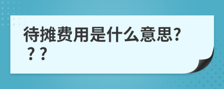 待摊费用是什么意思? ? ?