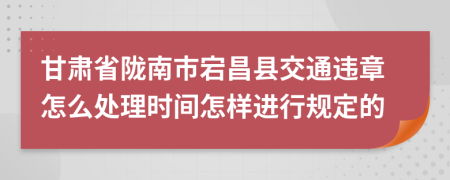 甘肃省陇南市宕昌县交通违章怎么处理时间怎样进行规定的