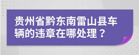 贵州省黔东南雷山县车辆的违章在哪处理？