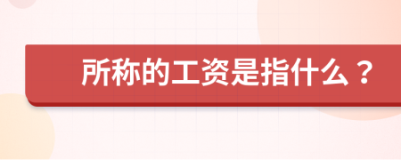 所称的工资是指什么？