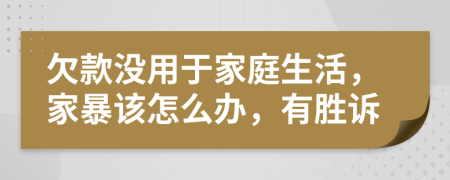 欠款没用于家庭生活，家暴该怎么办，有胜诉