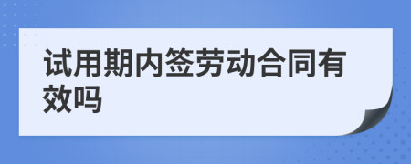 试用期内签劳动合同有效吗