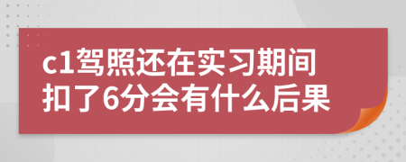 c1驾照还在实习期间扣了6分会有什么后果