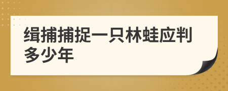 缉捕捕捉一只林蛙应判多少年