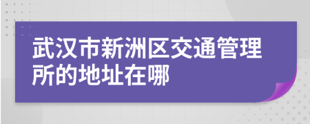 武汉市新洲区交通管理所的地址在哪