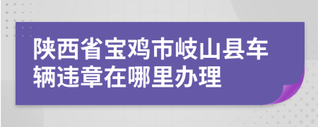 陕西省宝鸡市岐山县车辆违章在哪里办理