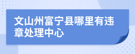 文山州富宁县哪里有违章处理中心