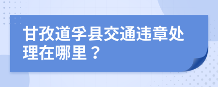 甘孜道孚县交通违章处理在哪里？