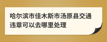 哈尔滨市佳木斯市汤原县交通违章可以去哪里处理