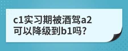 c1实习期被酒驾a2可以降级到b1吗?