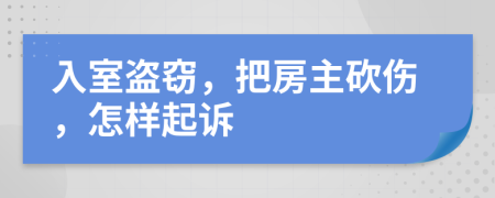 入室盗窃，把房主砍伤，怎样起诉