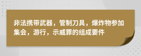 非法携带武器，管制刀具，爆炸物参加集会，游行，示威罪的组成要件