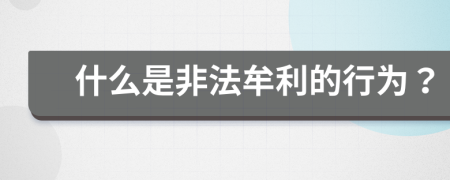 什么是非法牟利的行为？