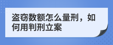 盗窃数额怎么量刑，如何用判刑立案