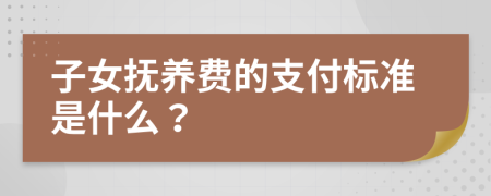 子女抚养费的支付标准是什么？