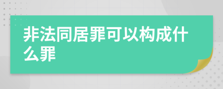 非法同居罪可以构成什么罪