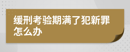 缓刑考验期满了犯新罪怎么办