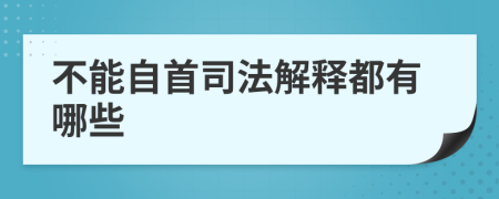 不能自首司法解释都有哪些