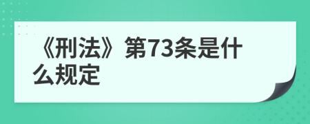 《刑法》第73条是什么规定