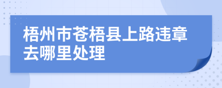 梧州市苍梧县上路违章去哪里处理