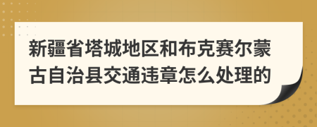 新疆省塔城地区和布克赛尔蒙古自治县交通违章怎么处理的