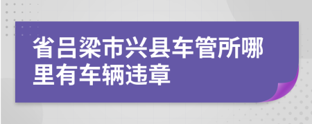 省吕梁市兴县车管所哪里有车辆违章