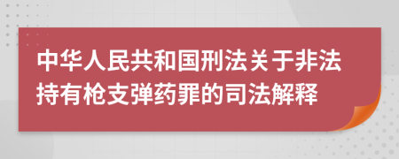 中华人民共和国刑法关于非法持有枪支弹药罪的司法解释