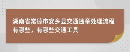 湖南省常德市安乡县交通违章处理流程有哪些，有哪些交通工具