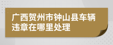 广西贺州市钟山县车辆违章在哪里处理