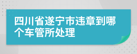 四川省遂宁市违章到哪个车管所处理