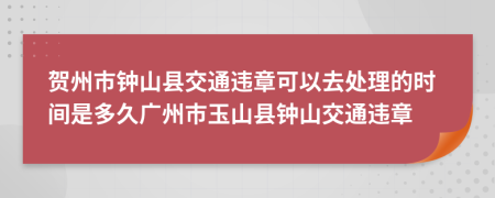 贺州市钟山县交通违章可以去处理的时间是多久广州市玉山县钟山交通违章