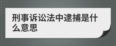 刑事诉讼法中逮捕是什么意思