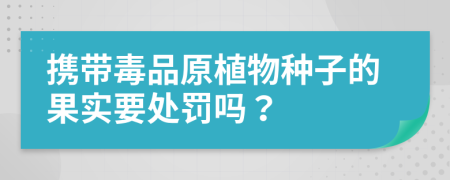 携带毒品原植物种子的果实要处罚吗？