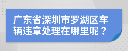 广东省深圳市罗湖区车辆违章处理在哪里呢？