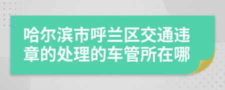 哈尔滨市呼兰区交通违章的处理的车管所在哪