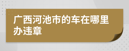广西河池市的车在哪里办违章