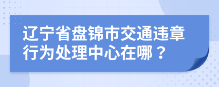 辽宁省盘锦市交通违章行为处理中心在哪？