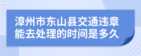 漳州市东山县交通违章能去处理的时间是多久