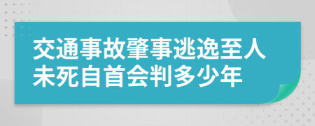 交通事故肇事逃逸至人未死自首会判多少年